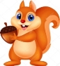 Ілюстрація білка мультфільму з гайкою | Cute squirrel, Squirrel clipart,  Squirrel pictures